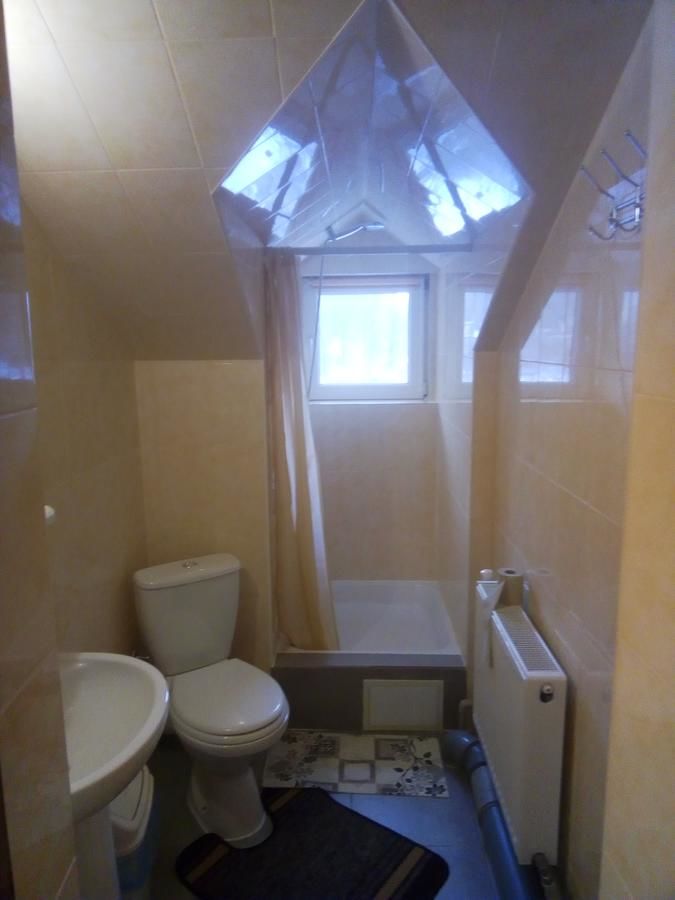 Гостевой дом Guest House Ivanna Яремче-16