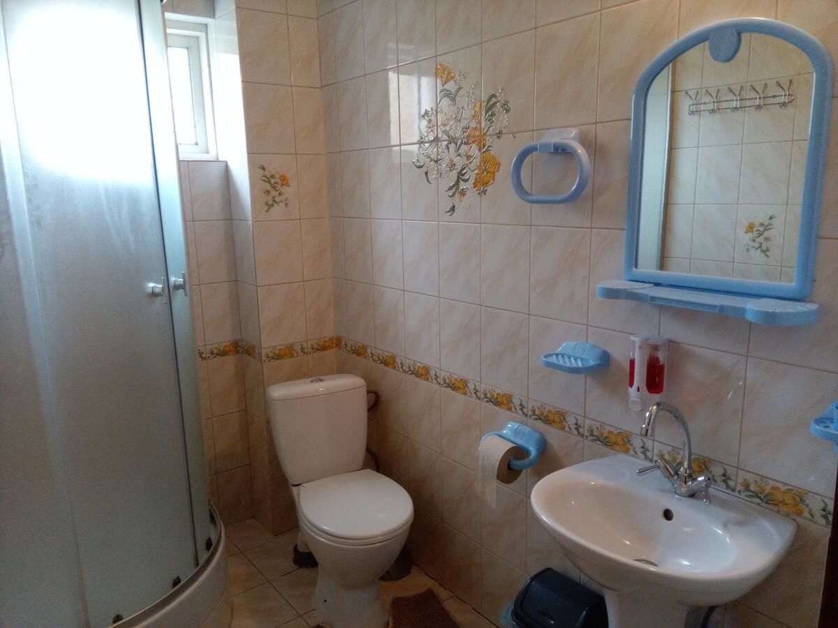 Гостевой дом Guest House Ivanna Яремче-23