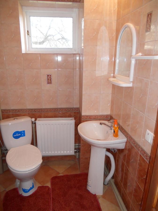 Гостевой дом Guest House Ivanna Яремче-43