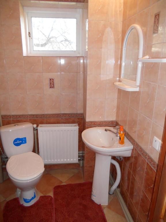 Гостевой дом Guest House Ivanna Яремче-50