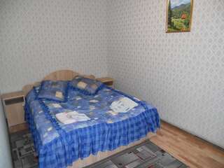 Гостевой дом Guest House Ivanna Яремче Стандартный двухместный номер с 1 кроватью-4