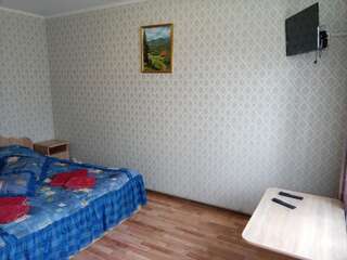 Гостевой дом Guest House Ivanna Яремче Стандартный двухместный номер с 1 кроватью-1