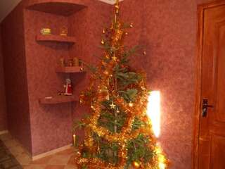 Гостевой дом Guest House Ivanna Яремче Дом с 5 спальнями-8
